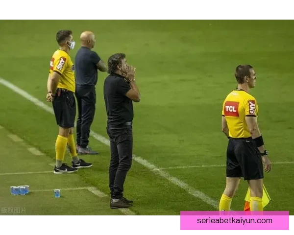 足球杯赛分析：各支球队表现趋势显现，实力对比持续加剧